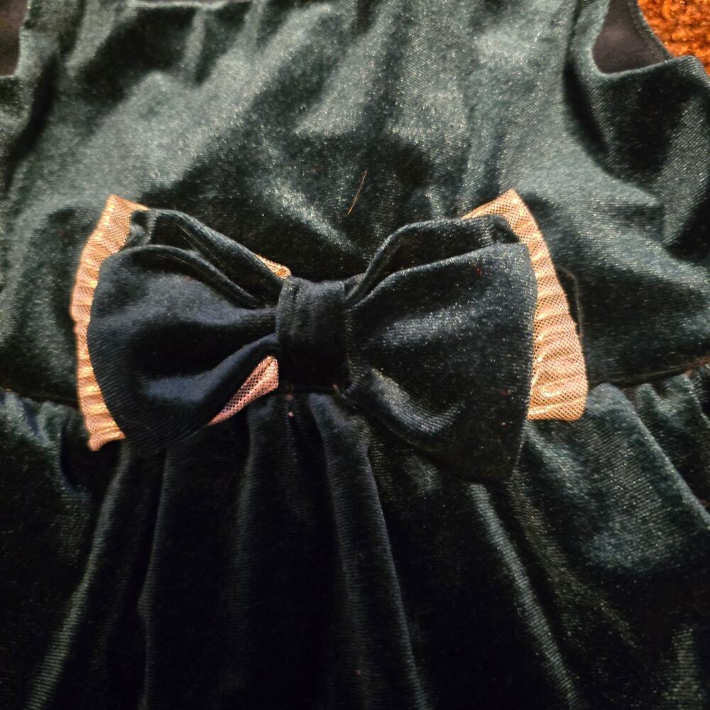 Blueberi Boulavard green velvet dress 2t - Picture 3 of 5